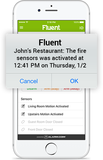 Fluent Systems App